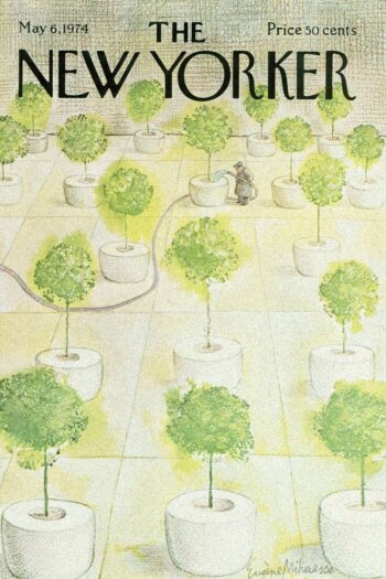 Купить постер The New Yorker 06.05.1974