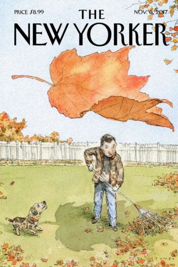 Купить постер The New Yorker 06.11.2017