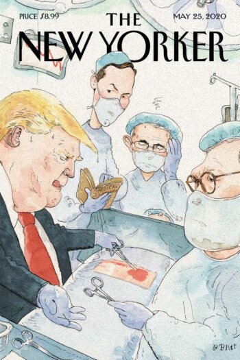 Купить постер The New Yorker 25.05.2020